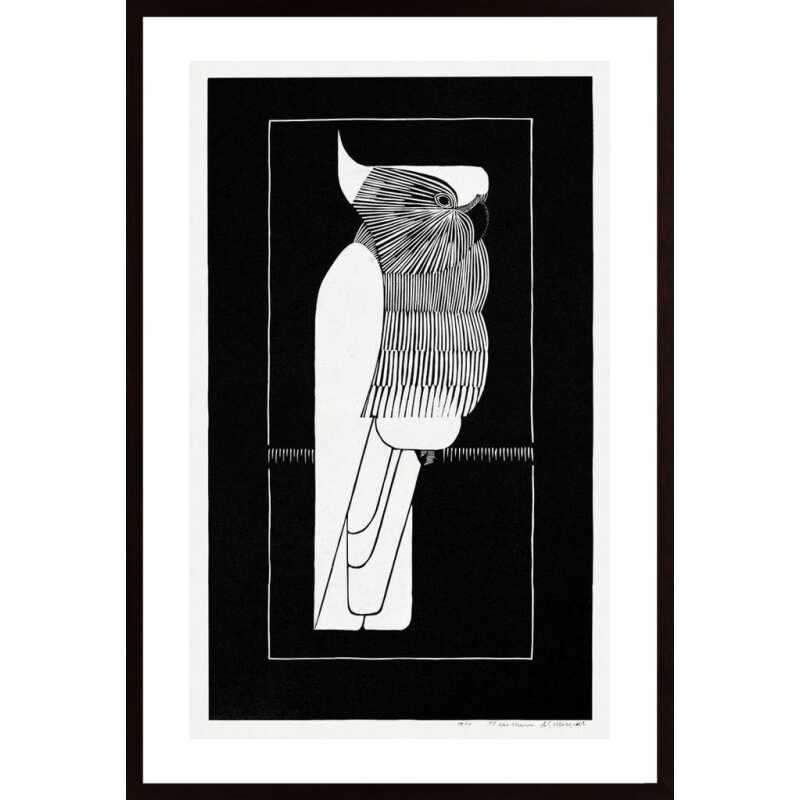 Mesquita - Cockatoo Poster