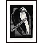 Mesquita - Parakets Poster