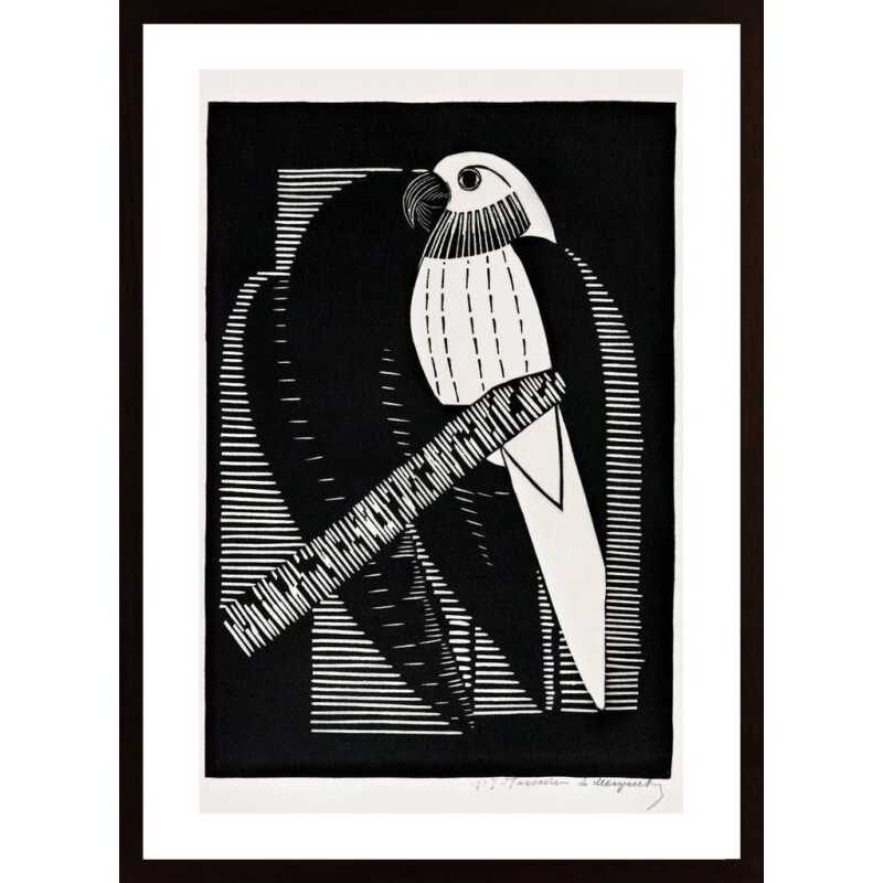 Mesquita - Parakets Poster