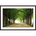 Metasequoia Road Poster