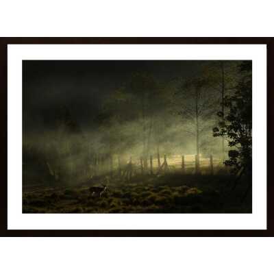 Misty Morning Poster