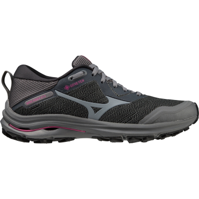Mizuno Women's Wave Rider Gore-Tex Iron Gate/Nimbus Cloud/Fuchsia Fedora