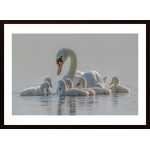 Mom Is The Whole World For Babies Poster