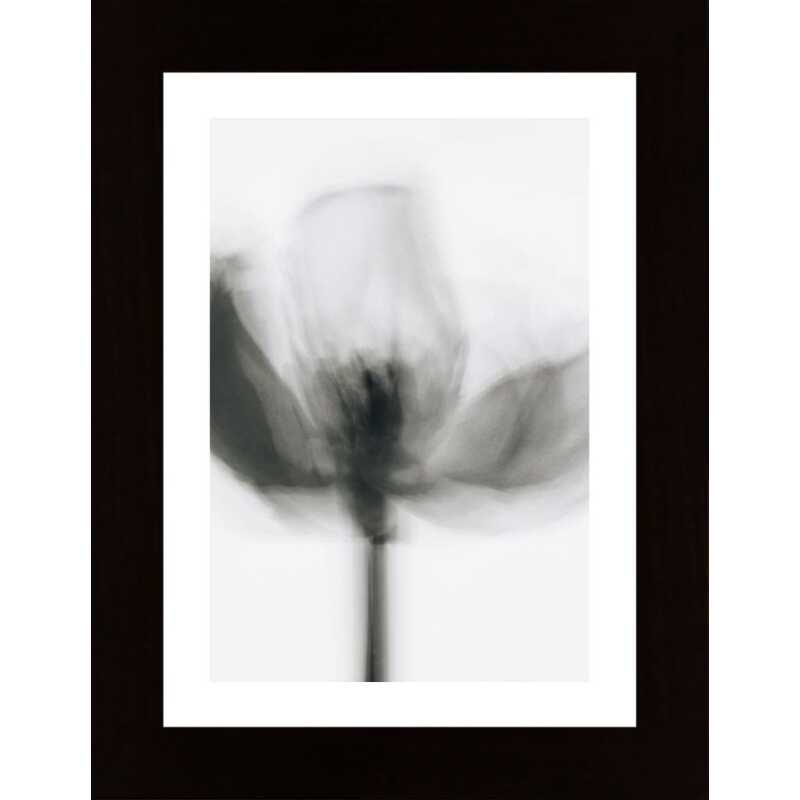 Mono Tulip Poster