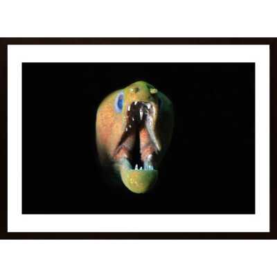 Monster In The Dark Poster
