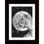 Moon And Tiger Original Poster