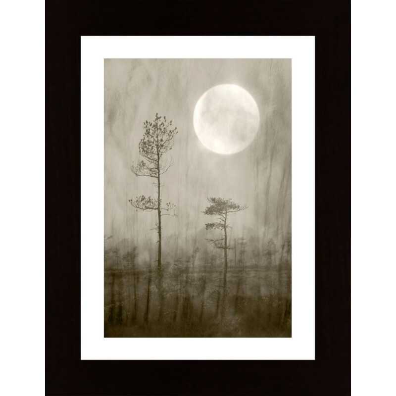 Moonlight Moor Poster