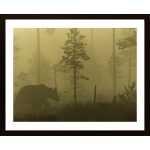 Morning Fog Poster