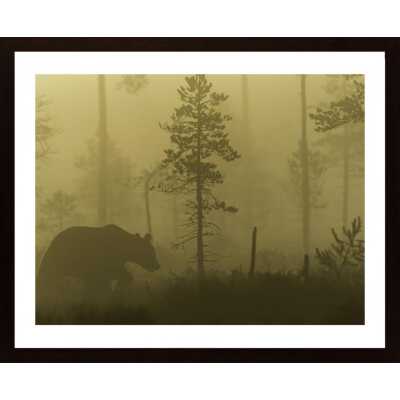 Morning Fog Poster