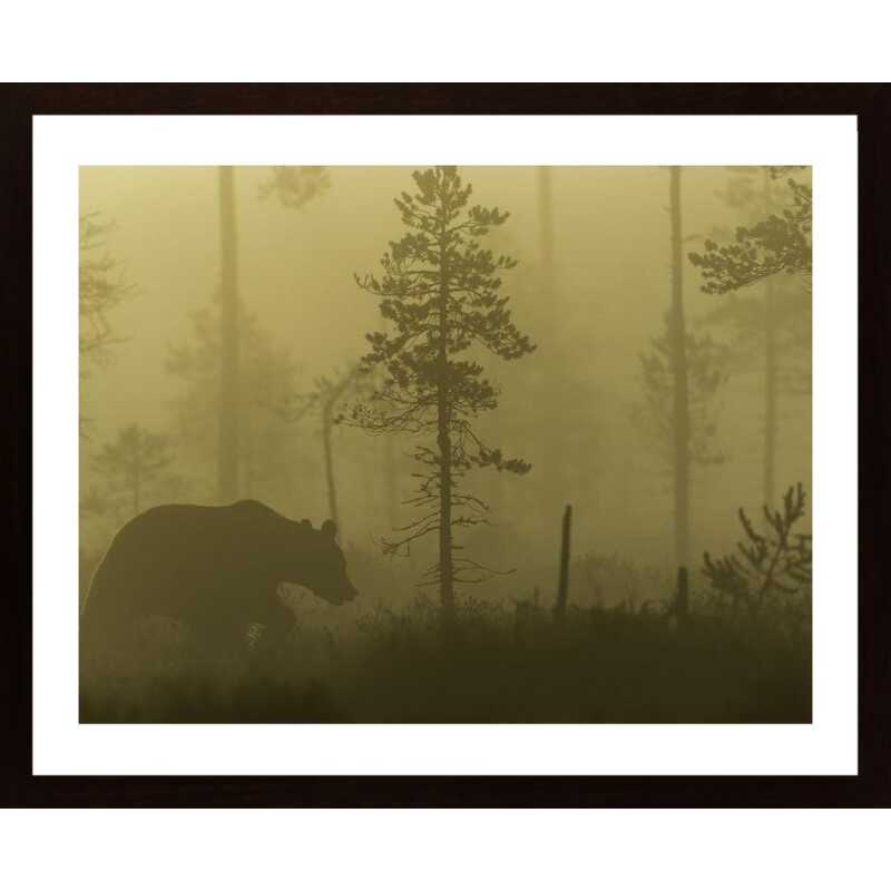 Morning Fog Poster
