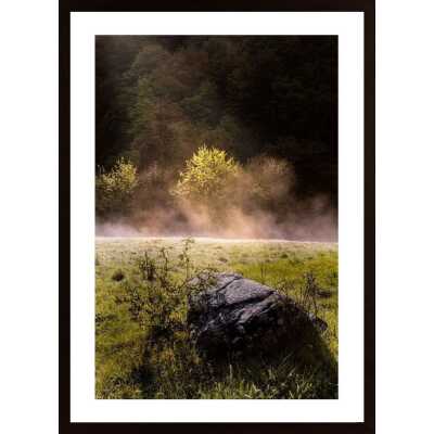 Morning Start Poster