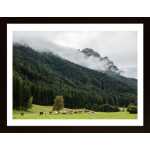 Mountain Cows Poster