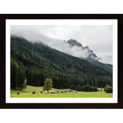 Mountain Cows Poster