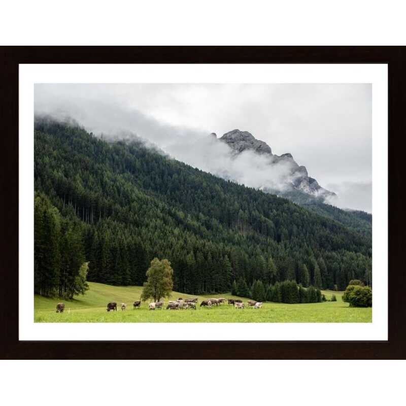 Mountain Cows Poster