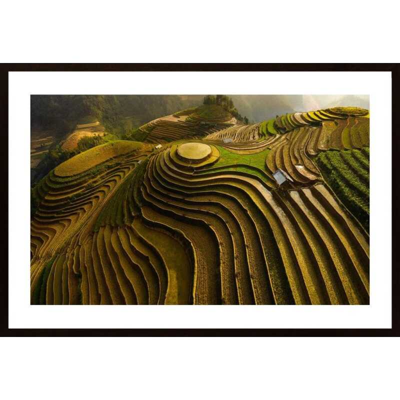 Mu Cang Chai - Vietnam Poster