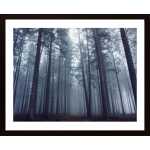 Mysterious Foggy Forest Poster