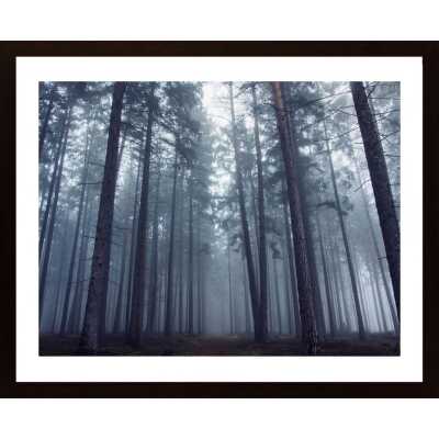 Mysterious Foggy Forest Poster