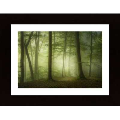 Mysterious Spring Morning Poster