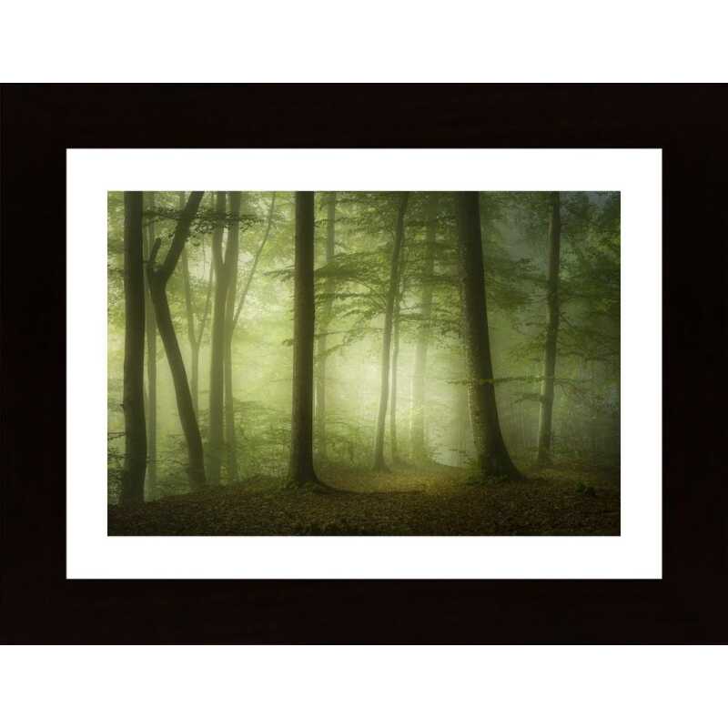 Mysterious Spring Morning Poster