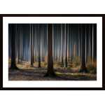 Mystic Wood Poster