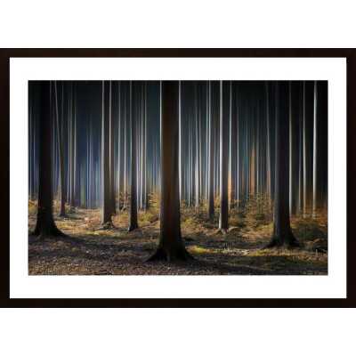 Mystic Wood Poster