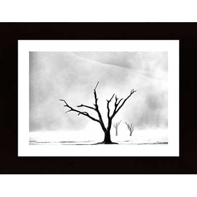 Namibia The Spirit Of Wilderness Poster