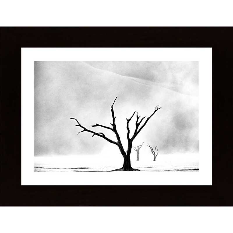 Namibia The Spirit Of Wilderness Poster