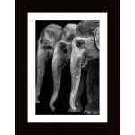 Natures Great Masterpiece An Elephant The Only Harmless Great Thing Poster