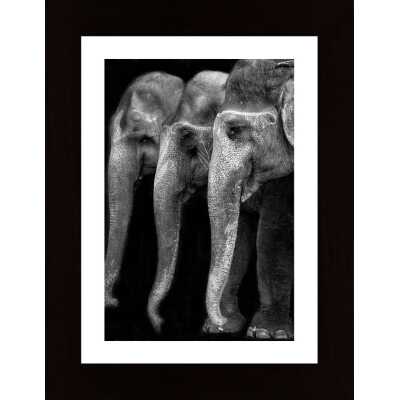 Natures Great Masterpiece An Elephant The Only Harmless Great Thing Poster