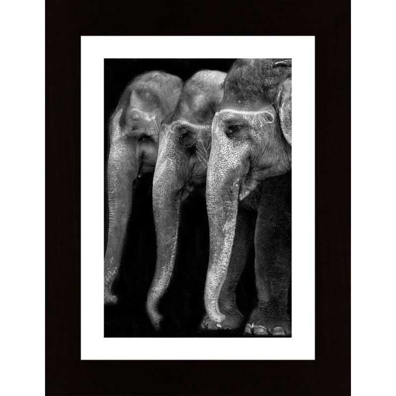 Natures Great Masterpiece An Elephant The Only Harmless Great Thing Poster Natures Great Masterpiece An Elephant The Only Harmless Great Thing Poster