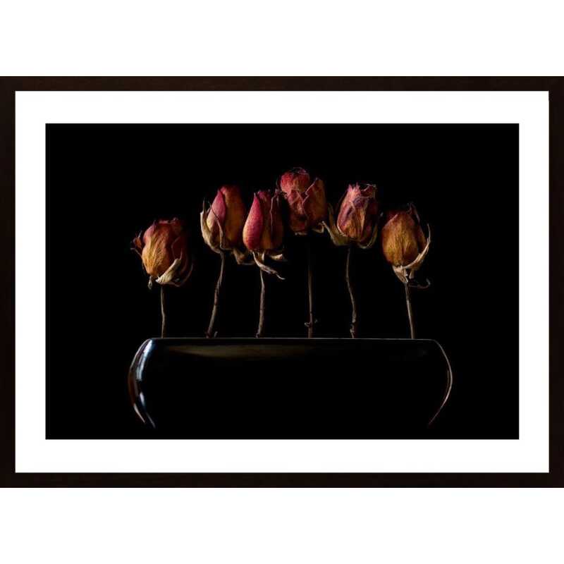 Night Garden Poster