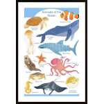 Ocean Animals Poster