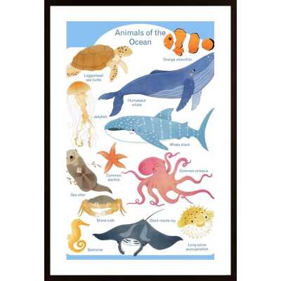 Ocean Animals Poster