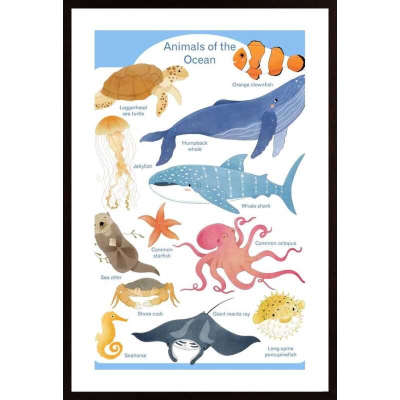 Ocean Animals Poster