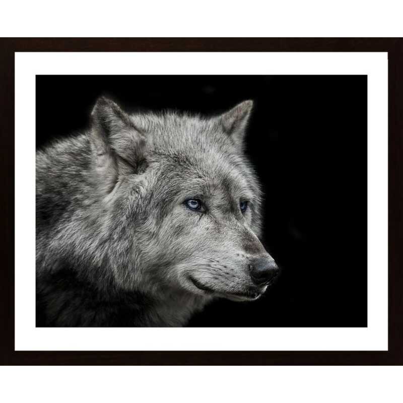 Old Blue Eyes Poster