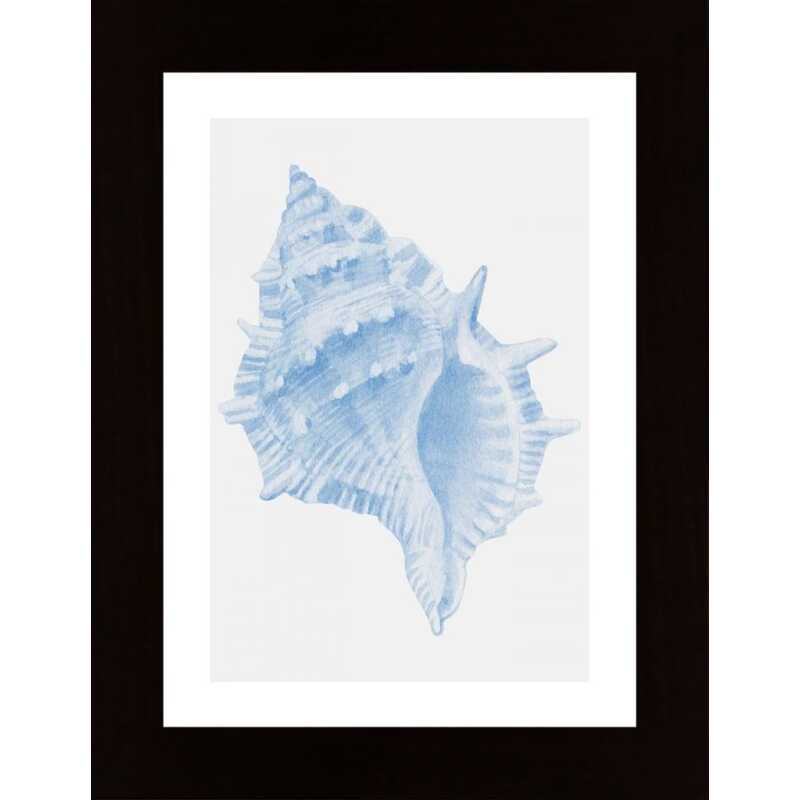One Blue Conch Poster