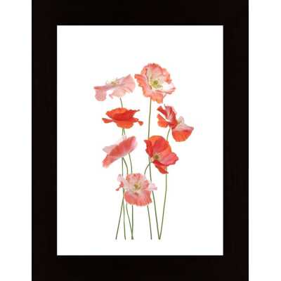 Orange Poppy Poster