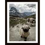 Out Of My Way Poster