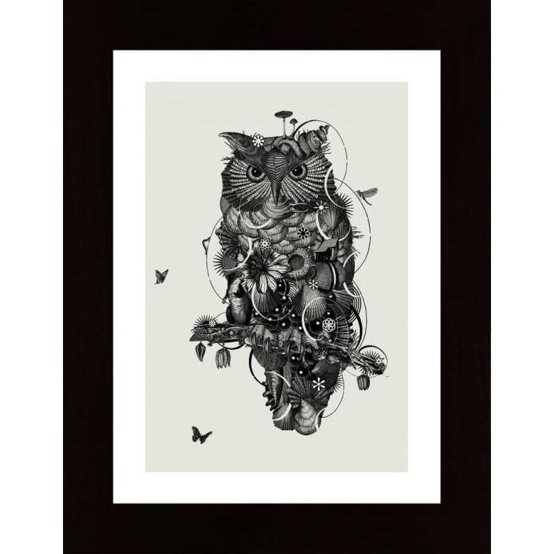 Owl Poster