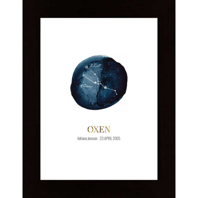 Oxen (Egen Text) Poster