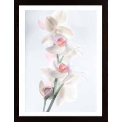 Pale Beauty Poster