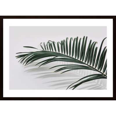 Palm And Shadow 2 Poster