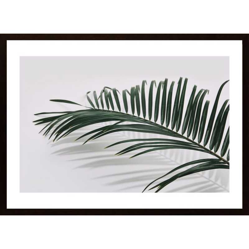 Palm And Shadow 2 Poster