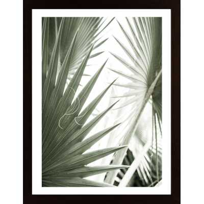 Palm Leaves Poster