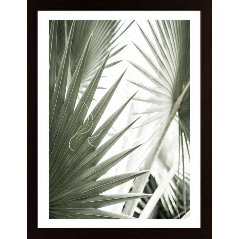 Palm Leaves Poster