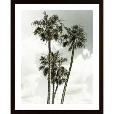 Palm Trees And Sky Vintage Poster