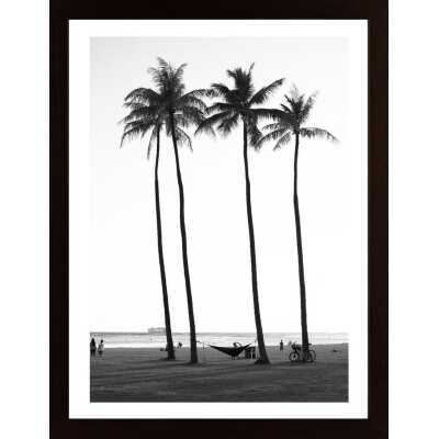 Palm Treess Poster