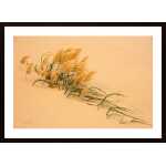 Pampas Grass In Sand Dune Poster