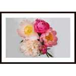 Peonies Bliss Poster