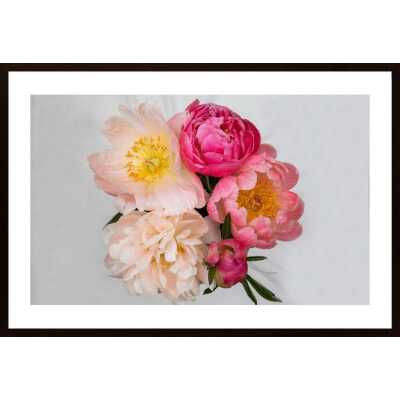 Peonies Bliss Poster